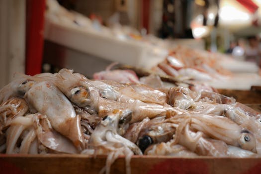 Tintenfisch