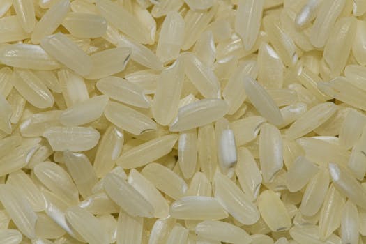 Basmati-Reis (roh)