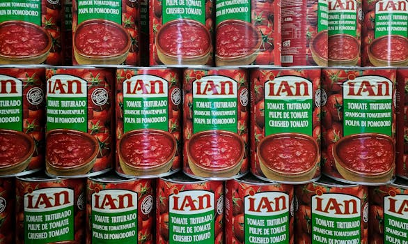 Tomatensauce passiert