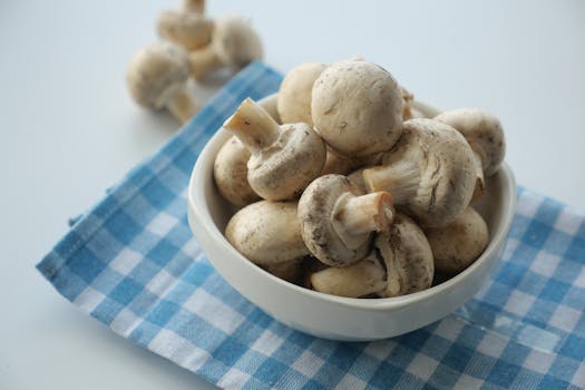 Champignons weiss