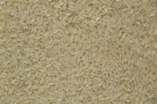 Reis weiß (gekocht)