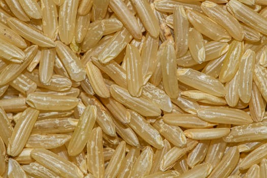 Reis Vollkorn (gekocht)