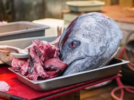 Thunfisch