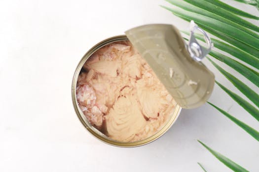 Thunfisch in Öl