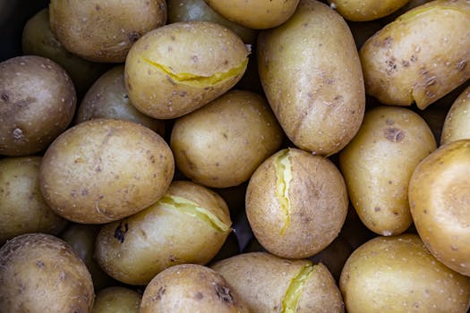 Kartoffel gekocht
