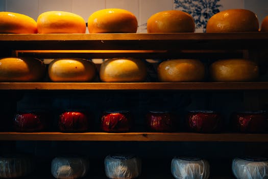 Gouda