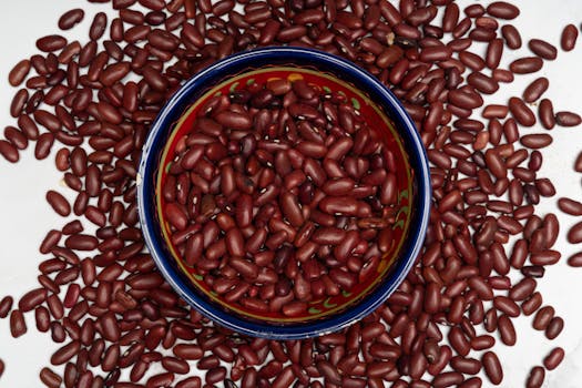 Kidney-Bohnen (gekocht)