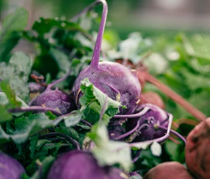 Kohlrabi