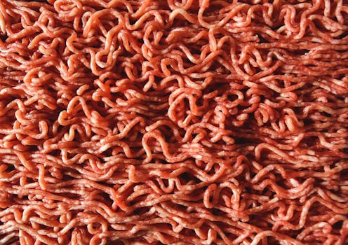 Rindshackfleisch 15%